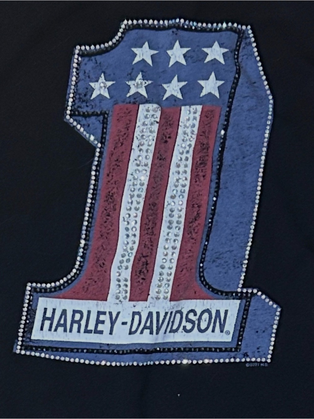 Harley-Davidson Black Lace-Up Short Sleeve Tee with Copper Logo - Picture 8 of 11